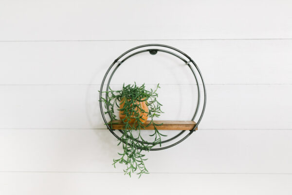 Hoop Shelf - Image 7