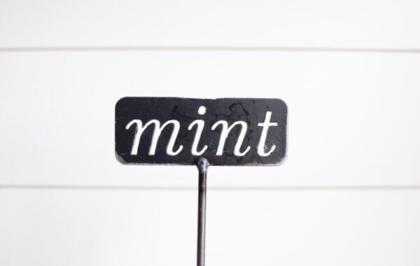 dark gray metal garden stake that reads "mint"