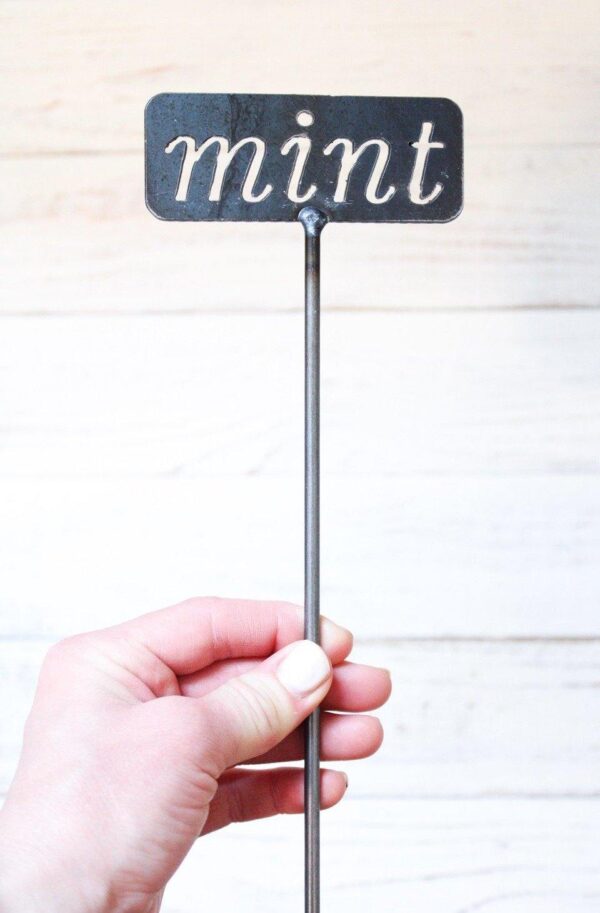 a hand holding a small metal garden stake that reads mint