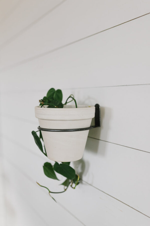 Metal Wall Plant Holder - Image 2