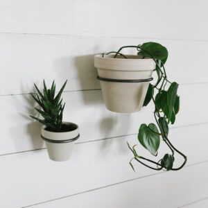 Metal Wall Plant Holders - large and small holding plants on the wall