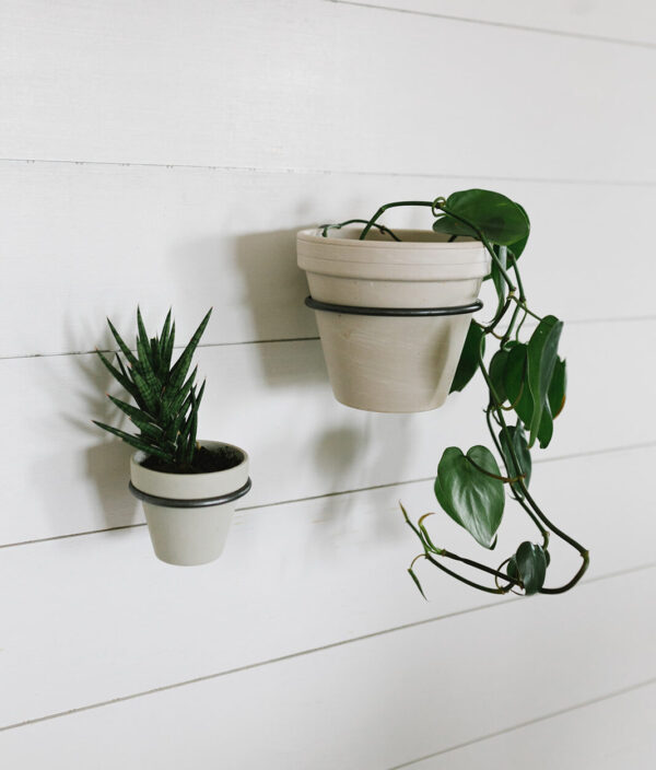 Metal Wall Plant Holders - large and small holding plants on the wall